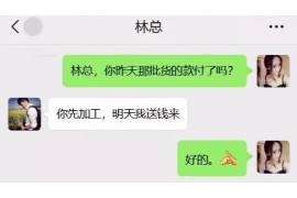 文昌为什么选择专业追讨公司来处理您的债务纠纷？